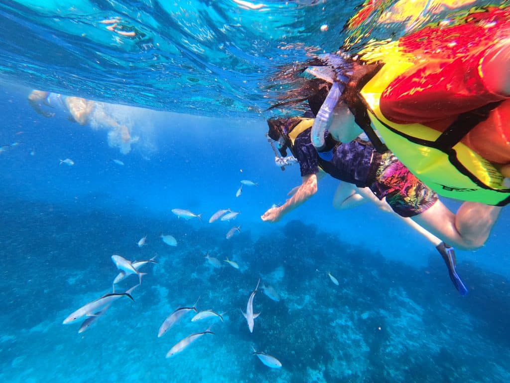 Two boys snorkelling in clear blue seas surrounded by fish