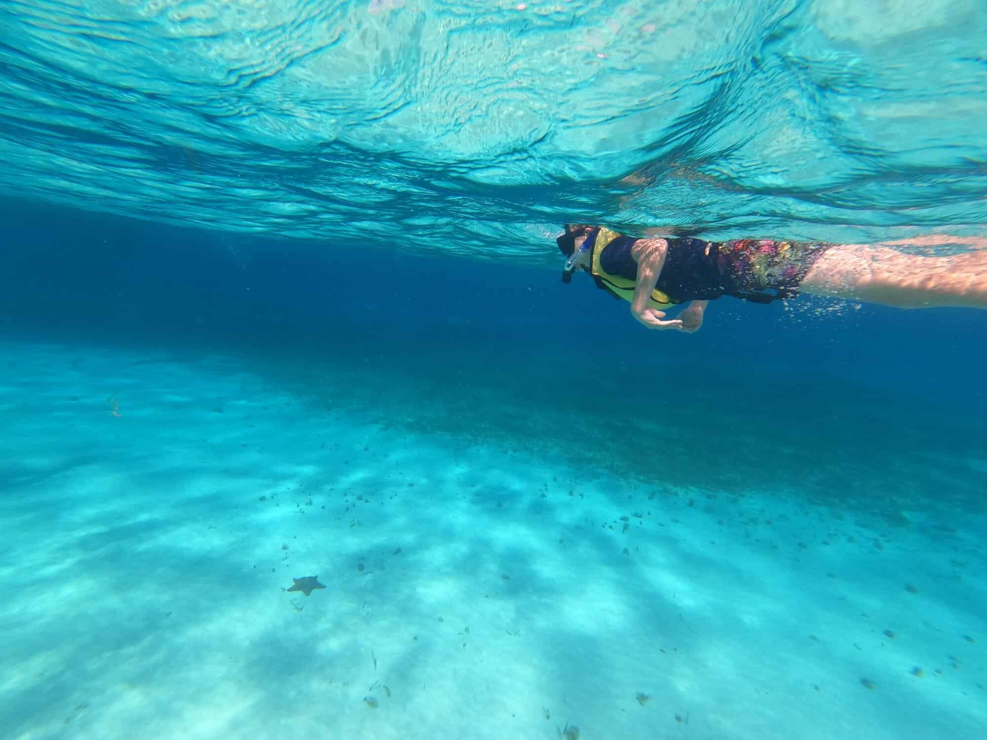 Boy snorkels in clear azure water with giant starfish on the seabed below
