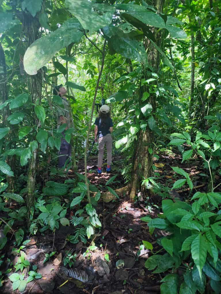 Boy and tour guide stand in jungle with telescope