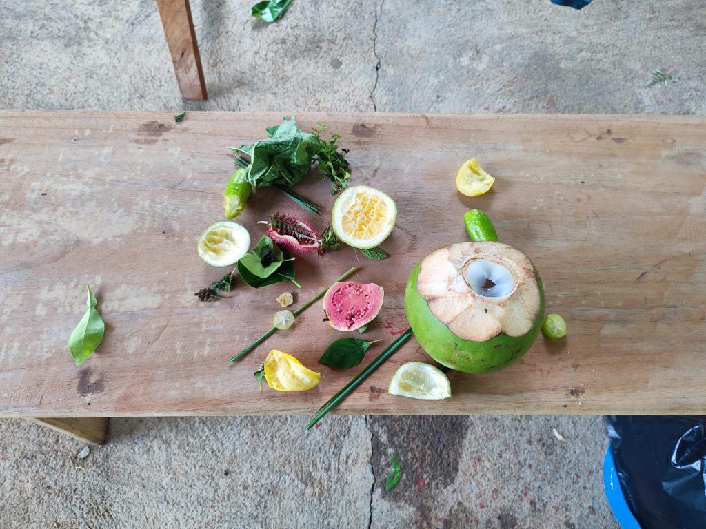 Image of several fruits and medicinal plants laid out on a wooden table
