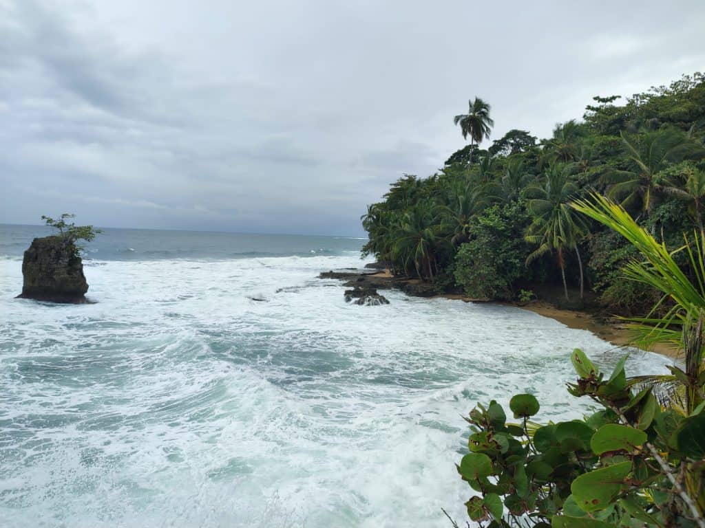 Image of waves crashing on to a beach backed with thick jungle. 