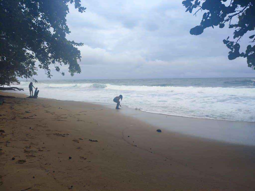 Two young boys play on a white sand beach while small waves roll in