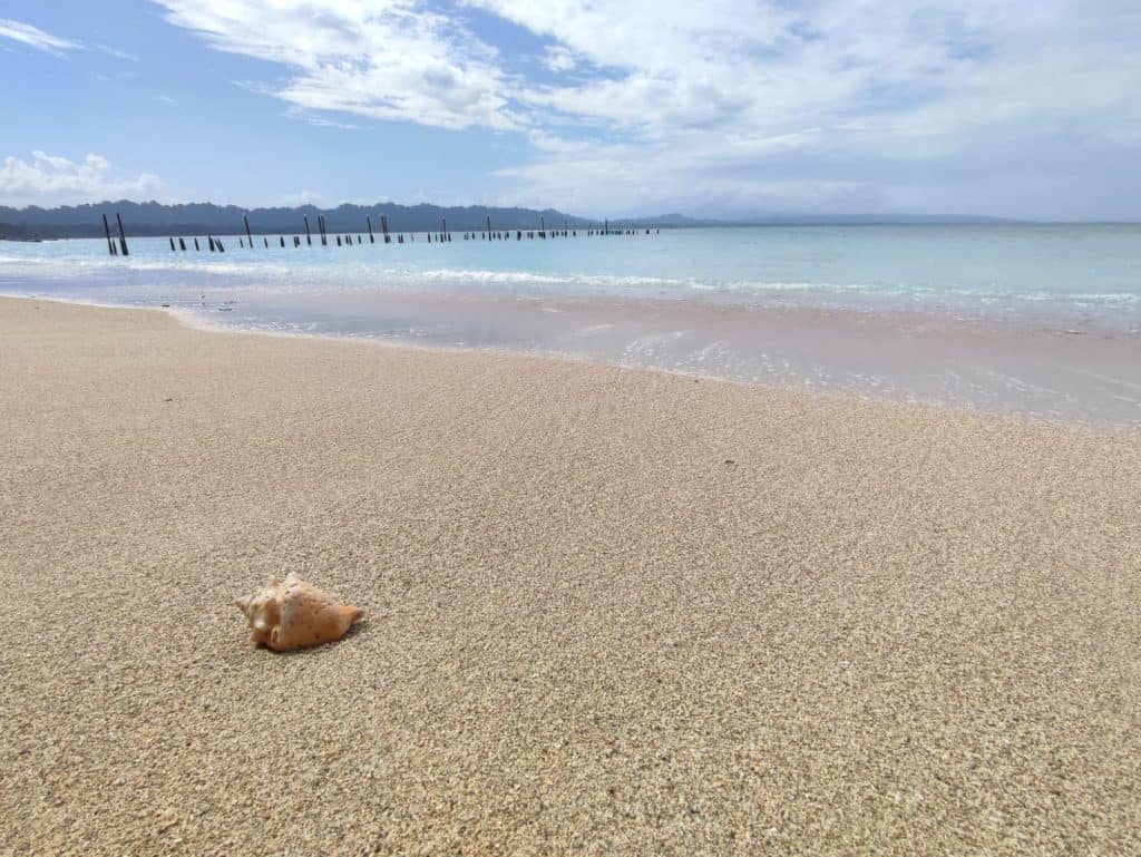 A conch shell lies on a white sand beach. The sea beyond is bright blue and flat with no waves; to the left of the frame is an abandoned pier that has been reduced to poles sticking out of the water