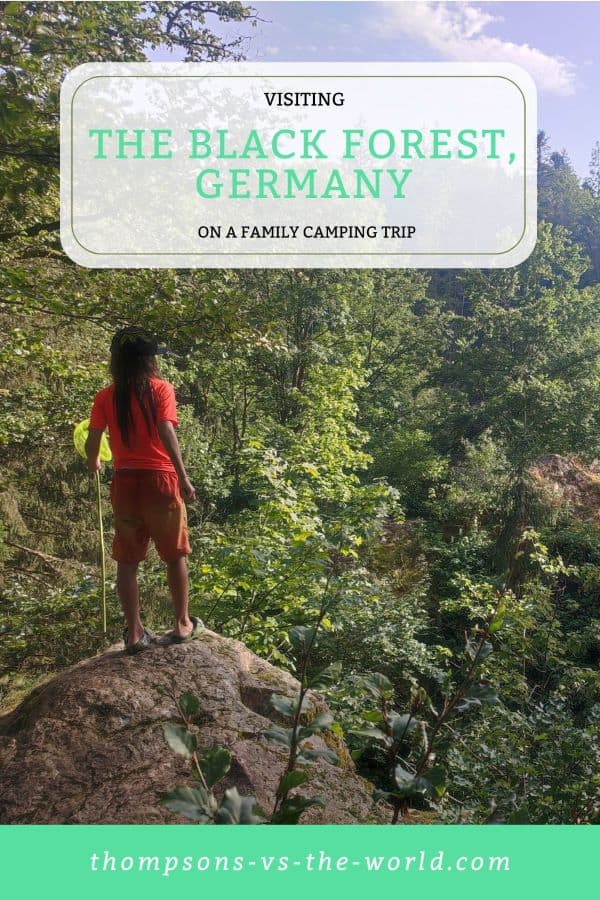 Image of boy in orange swim shorts and t shirt holding a yellow fishing net. He stands on a rocky outcrop looking out across the treetops of the Black Forest in Germany.