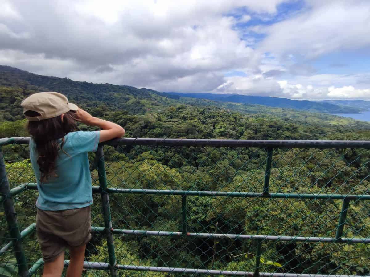 A boy looks out over the railings above the canopy of the rainforest in Costa Rica. He is looking through his binoculars into the distance.