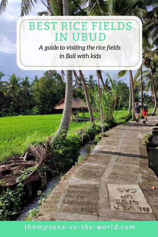 Family walk along a paved path between rice fields in Ubud, Bali. 