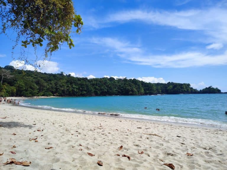 Long stretch of white sand and clear, calm blue sea backed by dense jungle at Manuel Antonio National Park in Costa Rica.