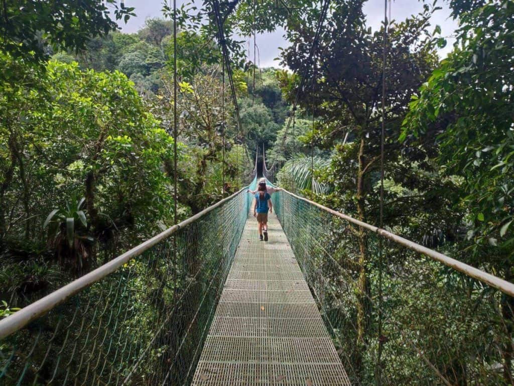 A child crosses a suspension bridge in a Costa Rican jungle, surrounded by towering trees, a thrilling experience for Costa Rica travel with kids.