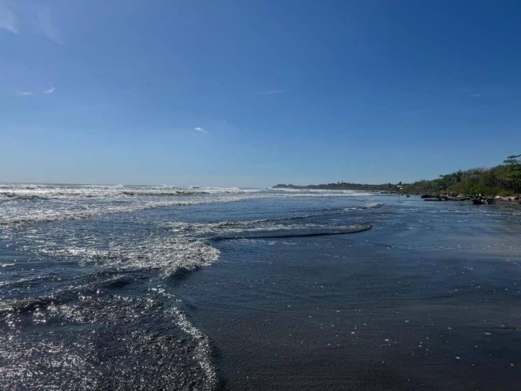 Waves lap on to a long stretch of beach backed with jungle in Nosara, Costa Rica.