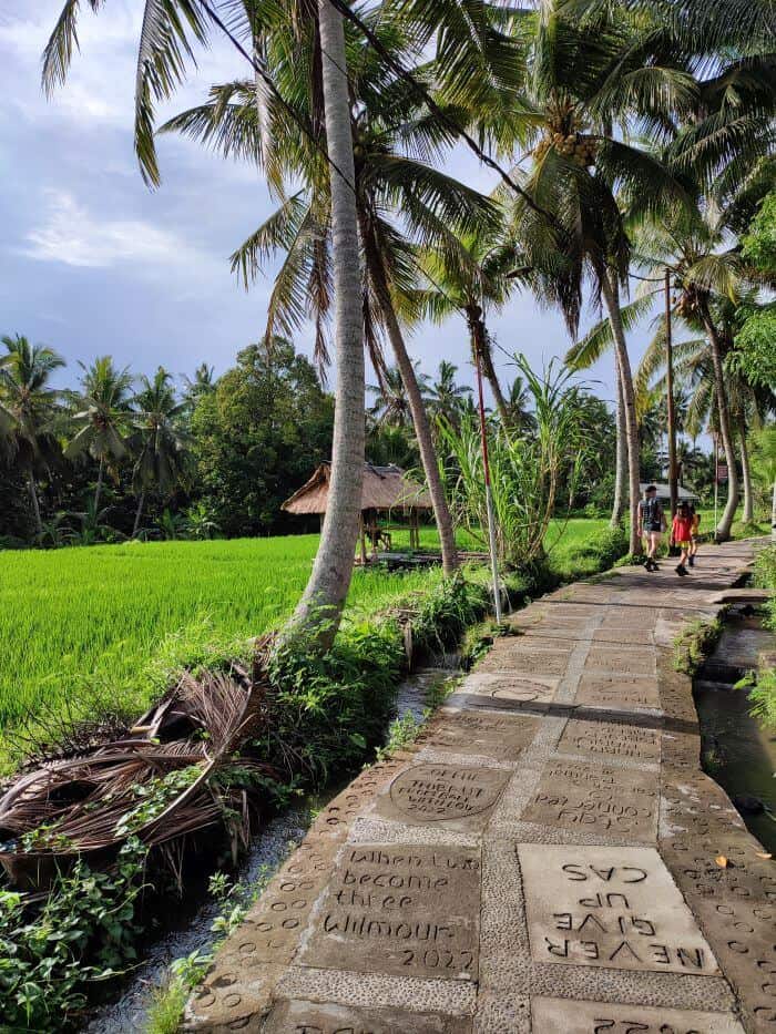 A stone path with engraved messages winding through the vibrant rice fields in Ubud, Bali