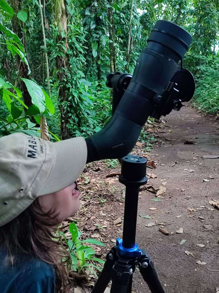 Boy in cap crouches to look through a telescope in to the treetops spotting sloths in Costa Rica