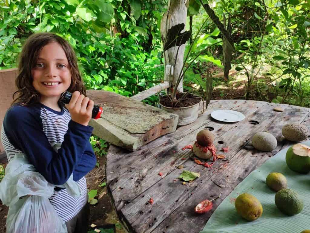 A young boy holding a small machete stands at a big wooden table covered in various plants and fruits from the wild in Costa Rica