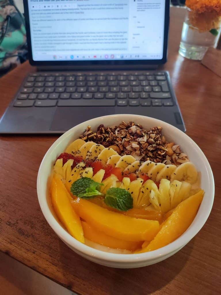 A colorful acai bowl with mango, banana, and granola on a table with a laptop, enjoyed at Titi Batu Ubud.