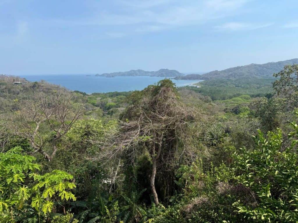 View across the green jungle out to the ocean from Vista Las Islas Hotel in Paquera, Costa Rica. One of our top picks of the bets places to stay in Costa Rica for families!