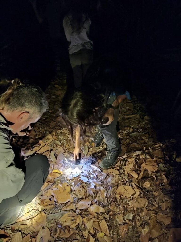 Man crouches down in the leaf foliage of the jungle floor at night, while a young boy leans down with a torch to inspect something on the ground at a night tour of the Shangri-La Rasa Ria Nature Reserve.