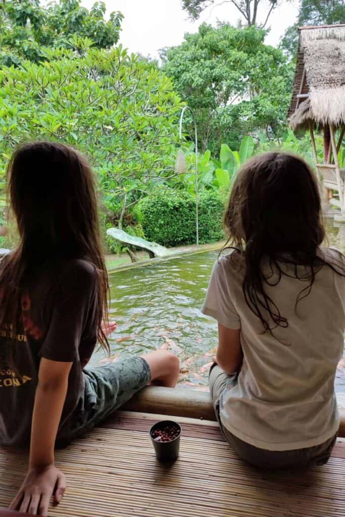 Two children sit on a bamboo deck beside a green fish pond surrounded by tropical plants and trees in Ubud. The relaxed garden setting highlights a peaceful family friendly spot when choosing where to eat in Ubud.