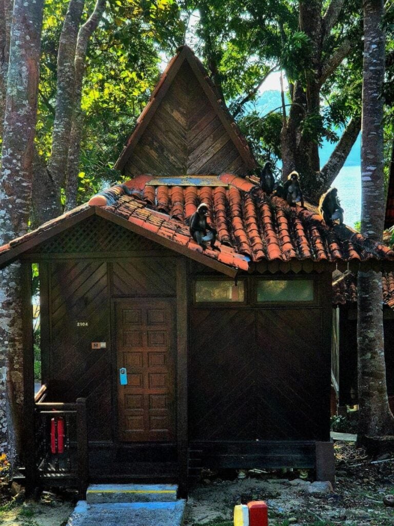 Wooden chalet with a red tiled roof at Berjaya Langkawi Resort surrounded by tall tropical trees, with several dusky leaf monkeys sitting on the roof in the shade. This family friendly Langkawi hotel offers unique wildlife encounters right outside your room, making it a memorable stop on a Langkawi itinerary for families.