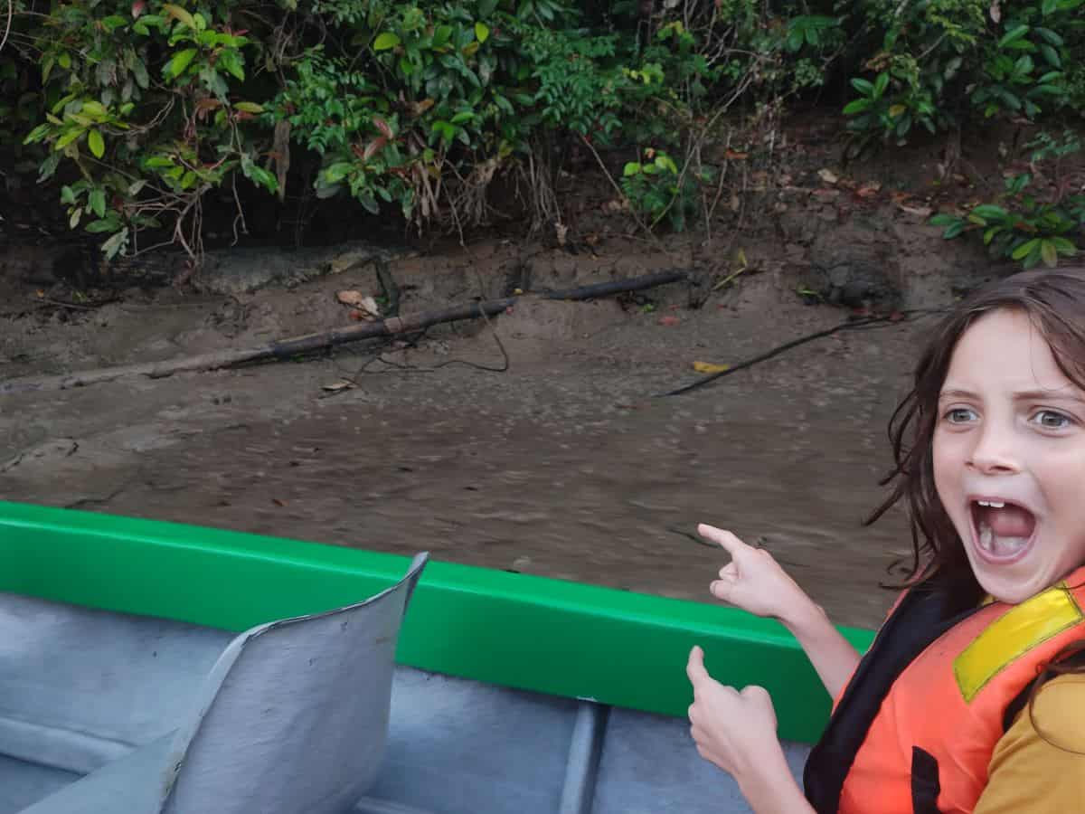 A boy in an orange lifejacket sits in a small boat on a Kinabatangan River safari pointing to the muddy bank where a large crocodile is resting.