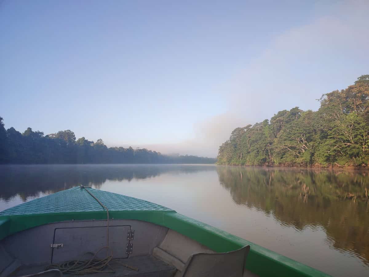View from the front of a small boat gliding along the Kinabatangan River at sunrise, with calm water reflecting rainforest trees on both banks. This peaceful scene captures the stillness experienced on a Kinabatangan River tour early in the morning.
