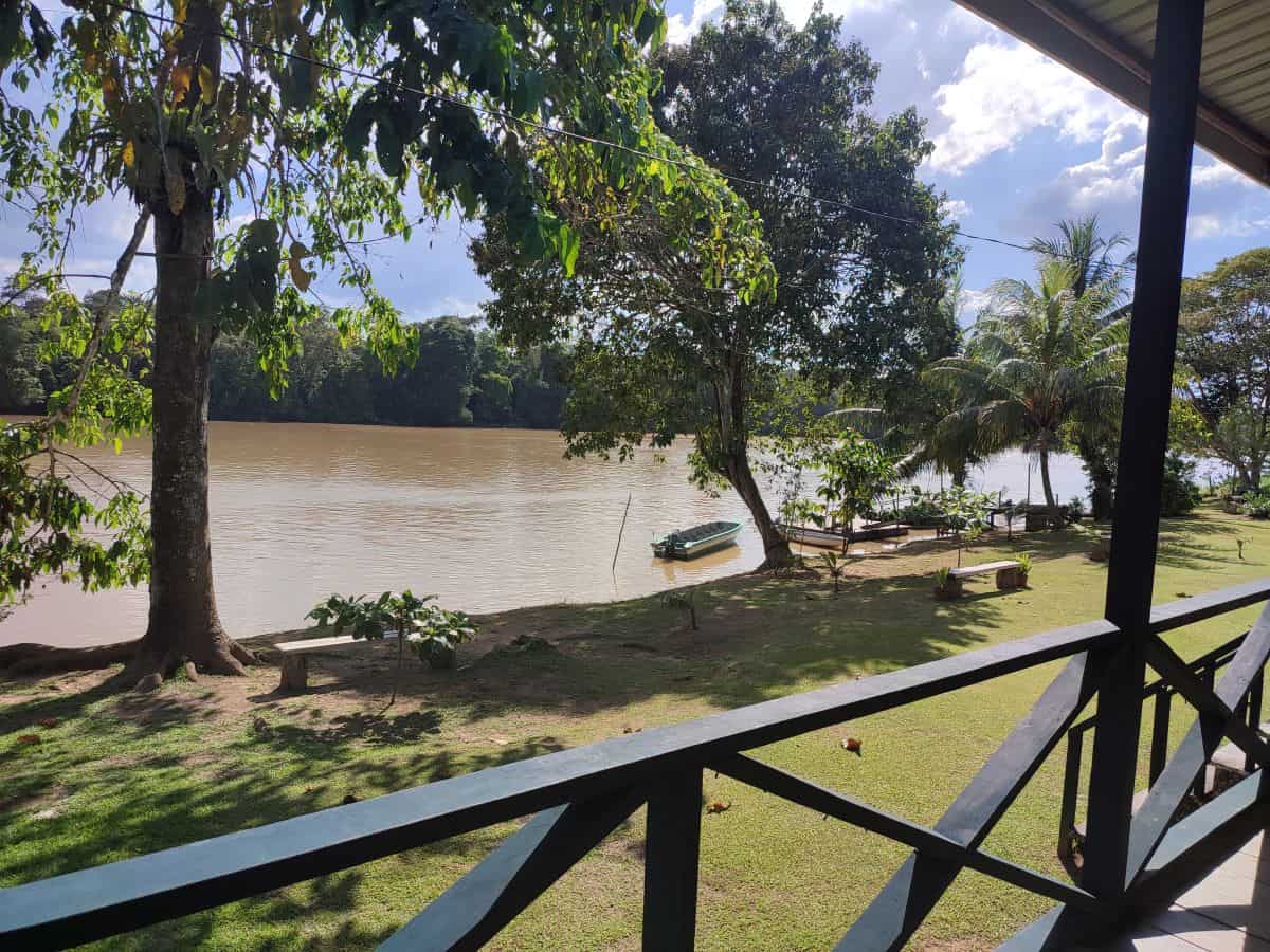 View from Osman's Homestay riverside lodge veranda overlooking the Kinabatangan River with trees grass and a small boat tied to the bank. This peaceful daytime scene shows the typical setting of a Kinabatangan River lodge used on a tour.