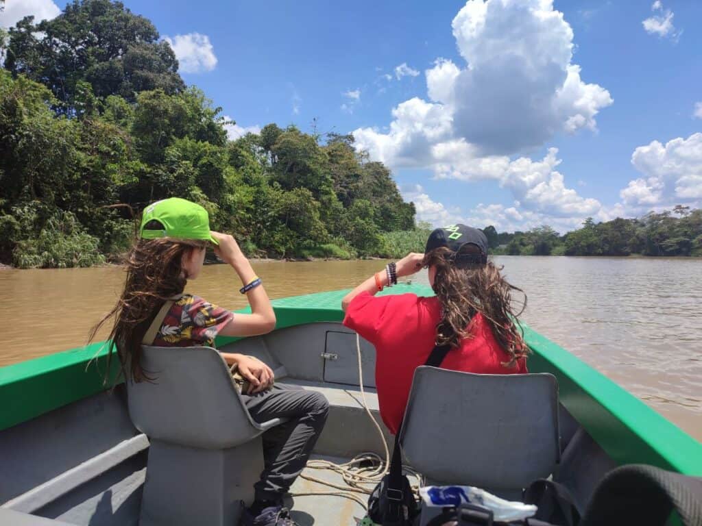 Two children sit facing forward in a small river boat, looking out over the muddy Kinabatangan River surrounded by dense Borneo rainforest under a bright blue sky. The image shows a family wildlife experience during a Kinabatangan River tour.
