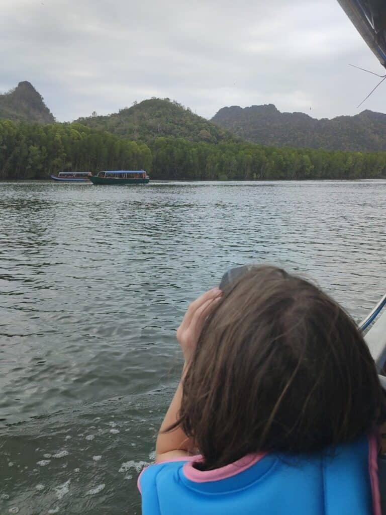 Boys looks in to the sky from a boat on a Langkawi mangrove tour watching the Sea Eagles soaring in the air above.