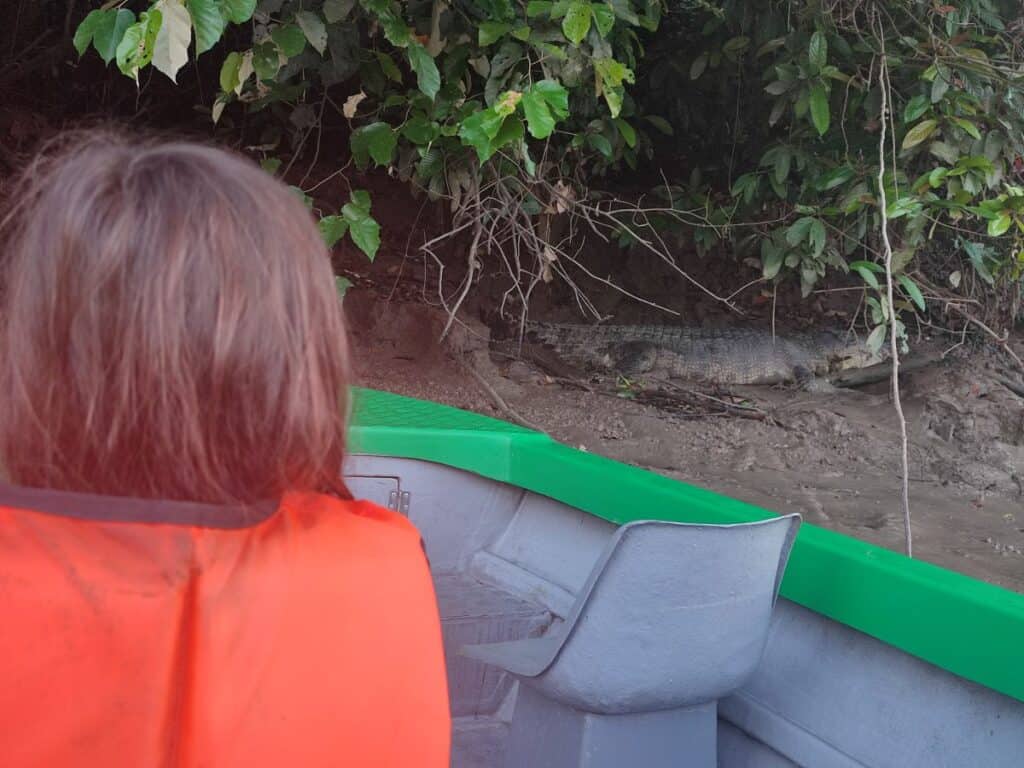 A crocodile rests on the muddy riverbank among dense vegetation while a boat floats nearby on the Kinabatangan River. This close wildlife encounter highlights what visitors may see on a Kinabatangan River tour.