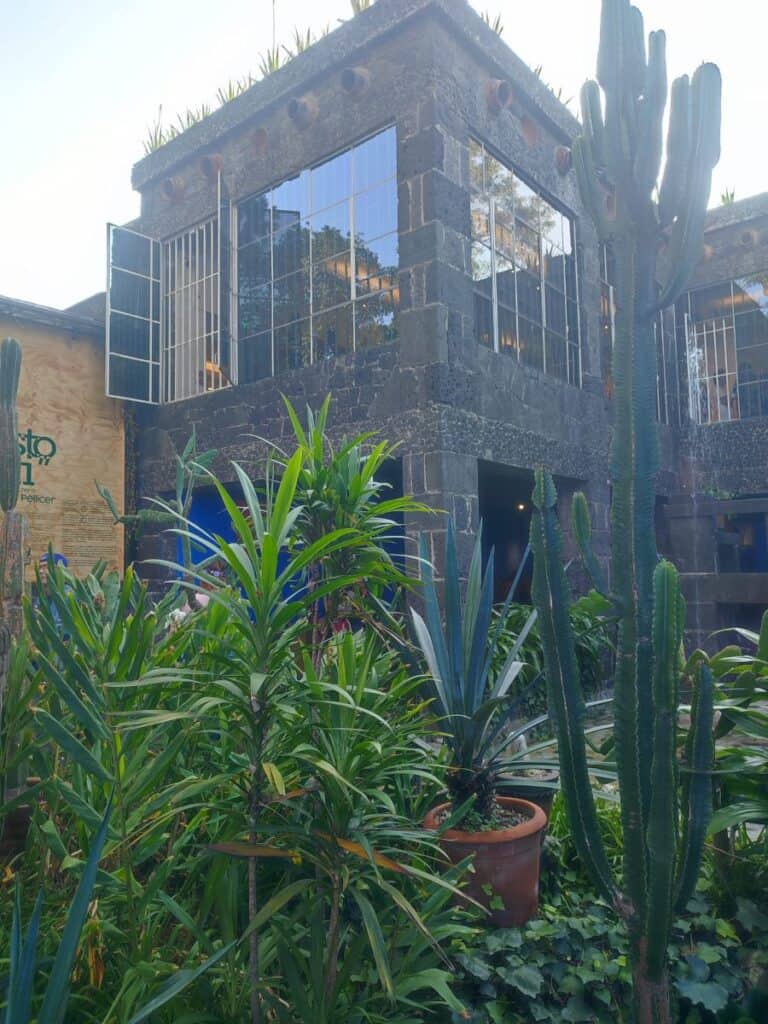 The dark volcanic stone exterior of a studio building at the Frida Kahlo Museum (La Casa Azul) in Coyoacán, Mexico City, seen from the lush courtyard garden. Tall cacti, agave, and tropical plants fill the foreground, with large glass windows reflecting the surrounding trees and warm interior light.