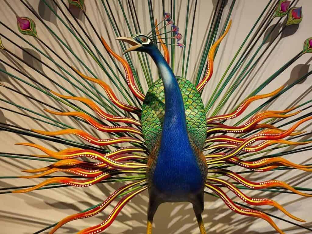 An intricate alebrije peacock sculpture at Mexico City's Museum of Popular Art, its body painted in vivid blue and green scales with a dramatic fan of long, hand-painted feathers in orange, red, yellow, and green radiating outward against a white wall.
